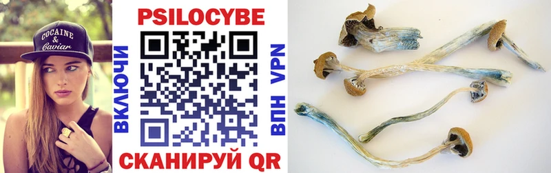 Псилоцибиновые грибы мицелий  Омутнинск 